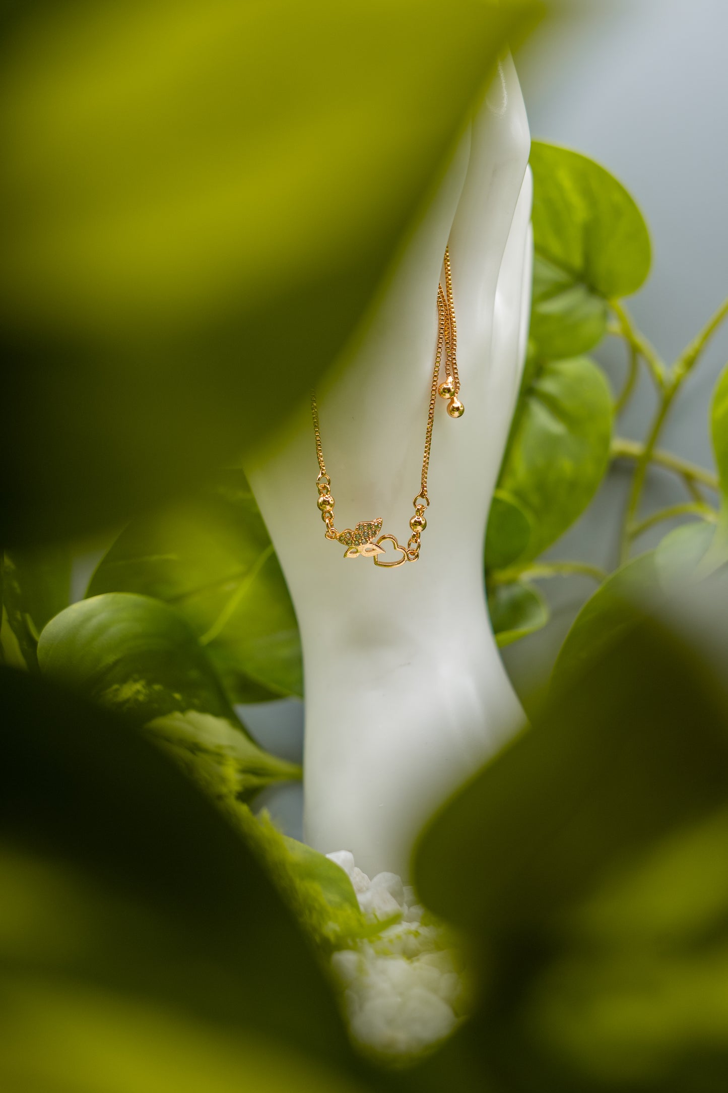 Alpenschmuck - Golden Cove