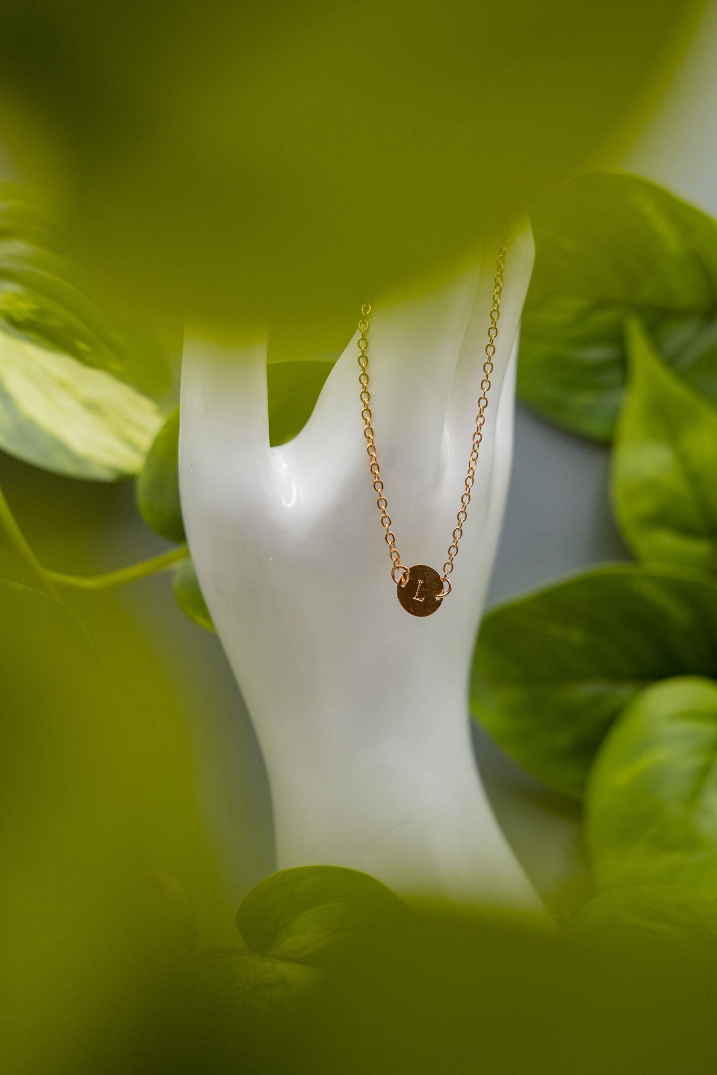 Alpenschmuck - Aurora Mystique
